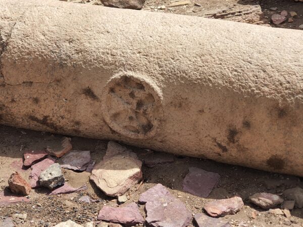 Trip to Temple of Amada - Image 8